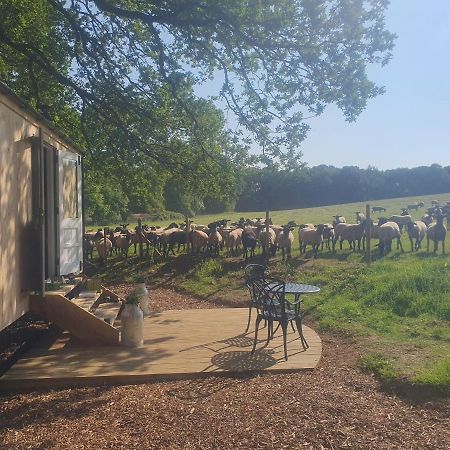 Coachroad Shepherds Huts Petworth Exterior foto